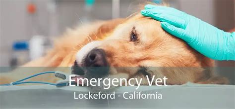 Best 24 hour emergency vet near Highland, CA 92346 .